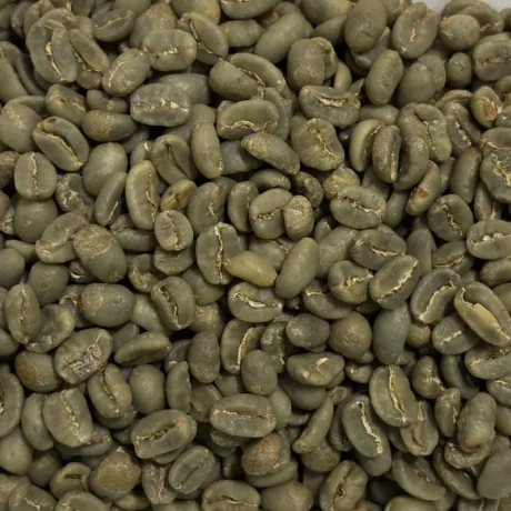 Gayo Thermal Washed 90+ Green Coffee Beans