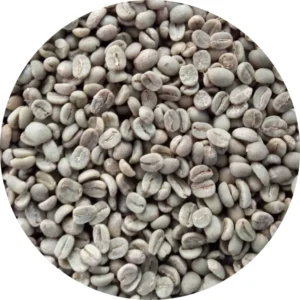 Arabica Java Malabar Green Coffee Beans