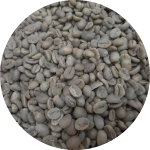 Arabica Kerinci Green Coffee Beans