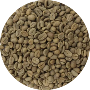 Arabica Minang Solok Green Coffee Beans