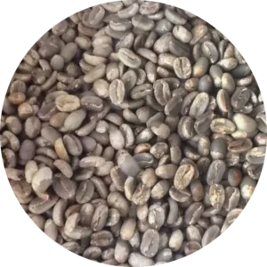Arabica Papua Wamena Green Coffee Beans