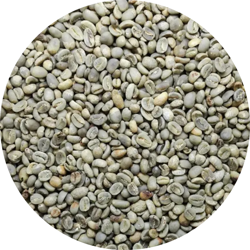 Arabica Puntang Green Coffee Beans