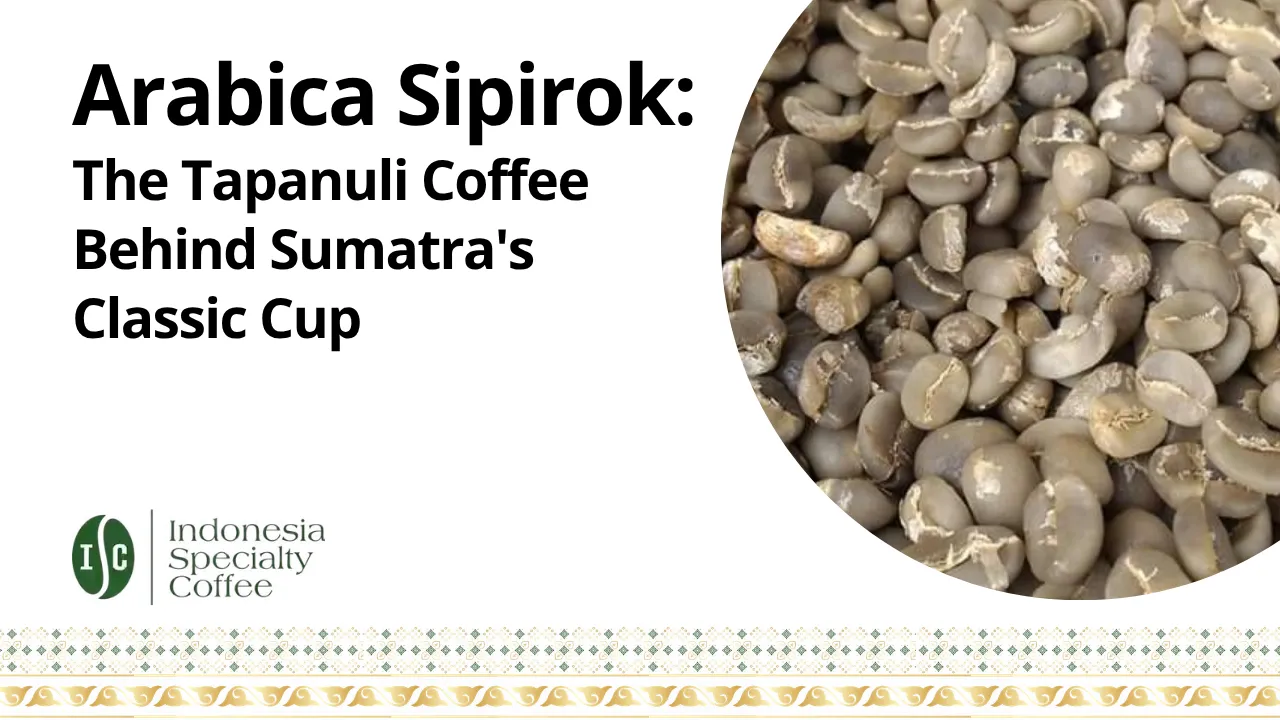 Arabica Sipirok The Tapanuli Coffee Behind Sumatra Classic Cup