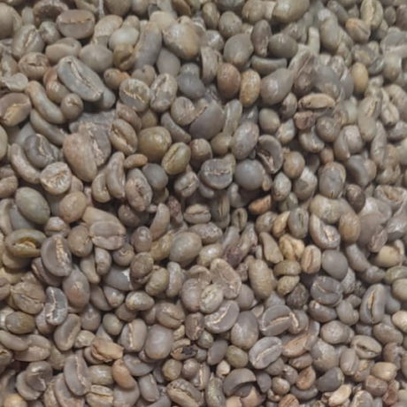 Arabica Tanah Karo Green Coffee Beans
