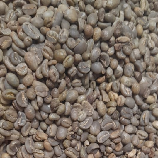 Arabica Tanah Karo Green Coffee Beans