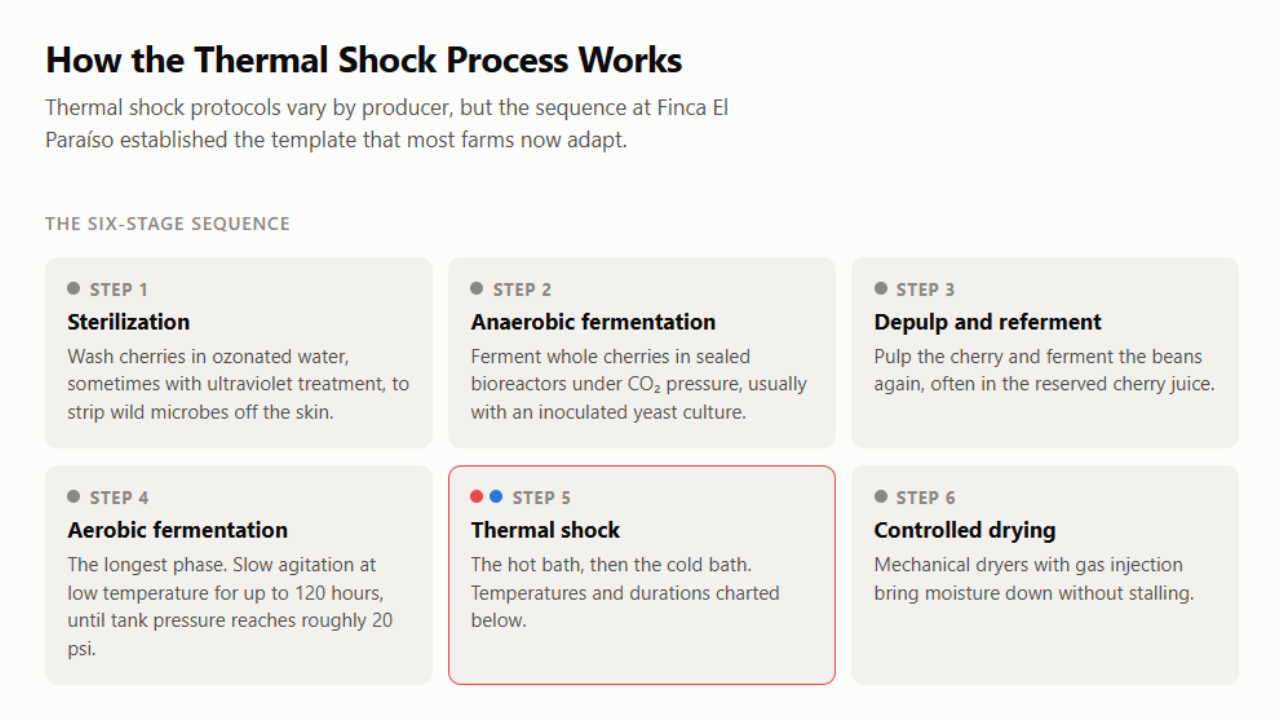 Coffee Thermal Shock Process Steps