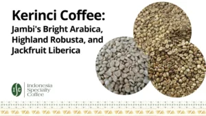 Kopi Kerinci Jambis Bright Arabika Highland Robusta dan Nangka Liberika