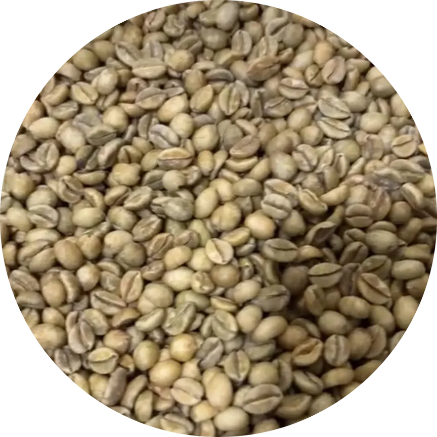Liberica Kerinci Green Coffee Beans