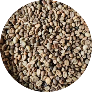 Robusta Bengkulu Green Coffee Beans