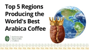 5 Wilayah Penghasil Kopi Arabika Terbaik di Dunia