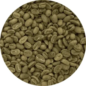 Arabica Rinjani Green Coffee Beans