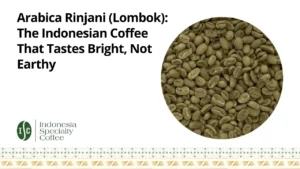 Arabica Rinjani (Lombok) The Indonesian Coffee That Tastes Bright, Not Earthy