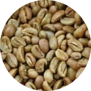 Robusta Pagar Alam Green Coffee Beans