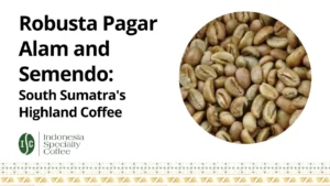 Robusta Pagar Alam and Semendo South Sumatra Highland Coffee