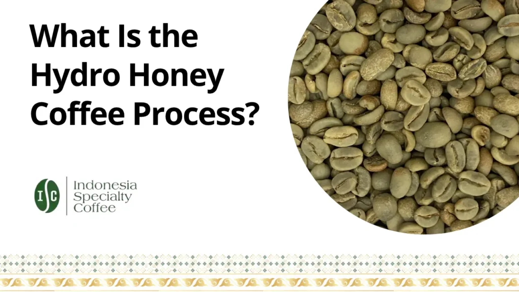 What Is the Hydro Honey Coffee Process?