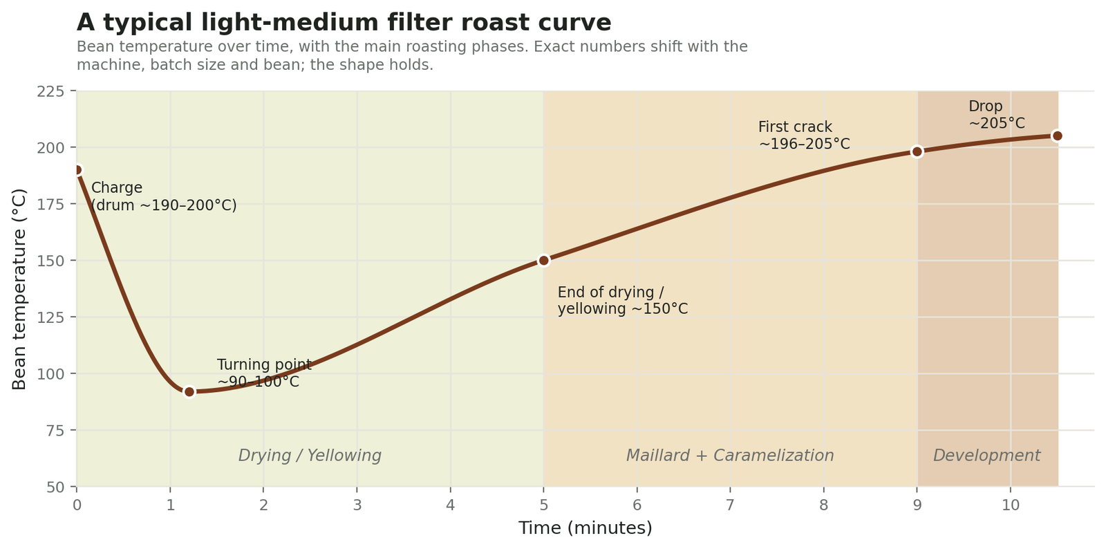 coffee-roast-curve-stages