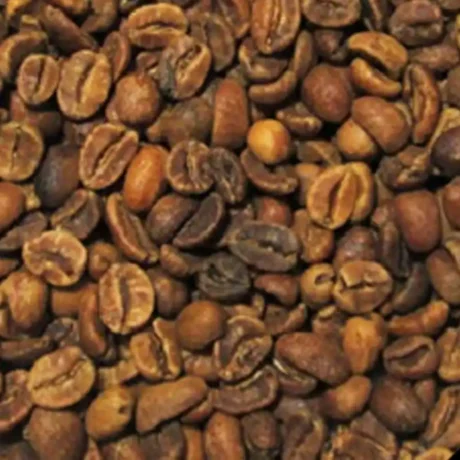 Age Coffee Green Coffee Beans