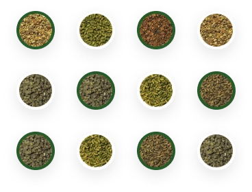Indonesia Specialty Coffee Products