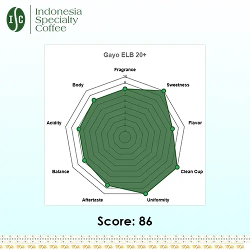 Jumbo Eighteen Plus Green Coffee Beans - Image 5