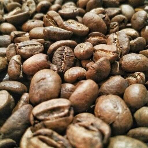 Royal Arabica Luwak Original Coffee-Kopi Luwak 1KG