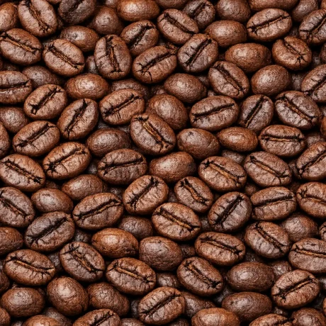Lasuna Roasted Coffee Beans