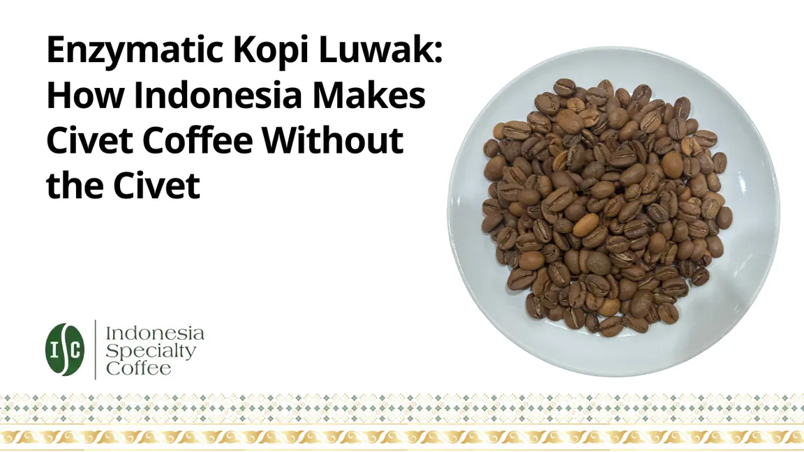 Enzymatic Kopi Luwak How Indonesia Makes Civet Coffee Without the Civet