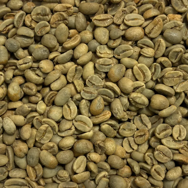 Gayo Anaerob Honey 85+ Green Coffee Beans