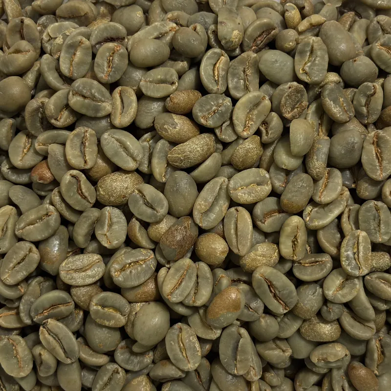 Gayo Natural Classic 90+ Green Coffee Beans