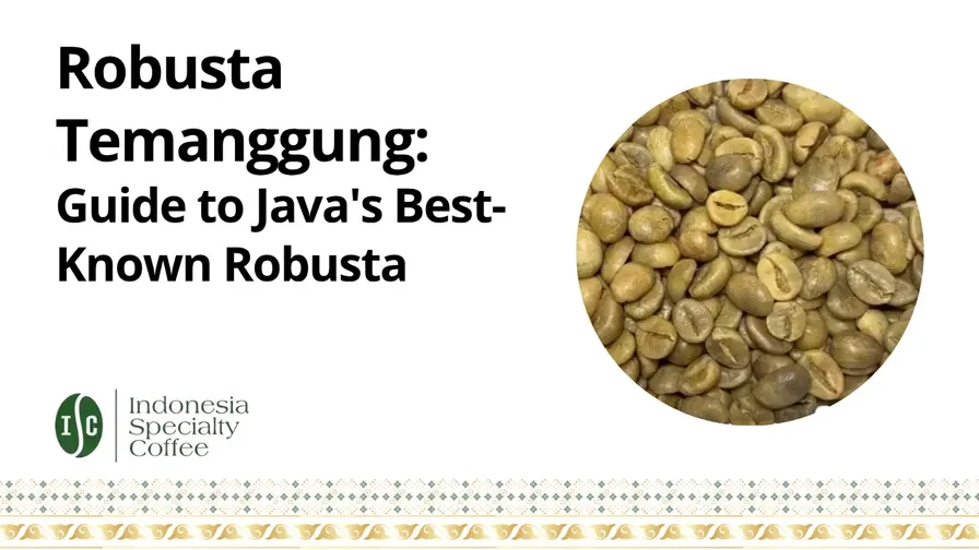 Robusta Temanggung green coffee beans — guide to Java's best-known robusta