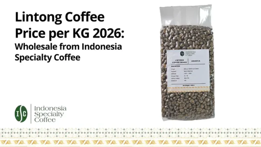 Lintong Coffee Price per KG 2026 Wholesale from Indonesia Specialty Coffee