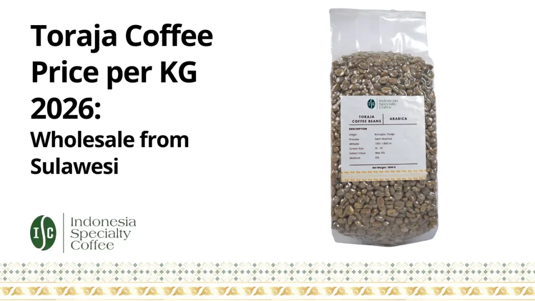 Toraja Coffee Price per KG 2026 Wholesale from Sulawesi