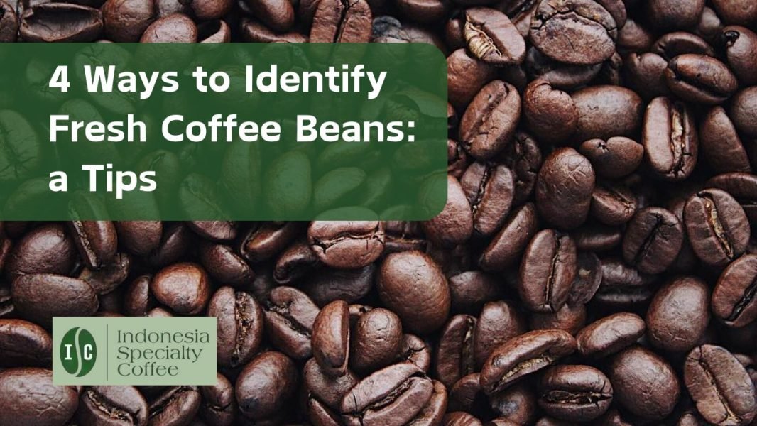 4 Ways to Identify Fresh Coffee Beans a Tips