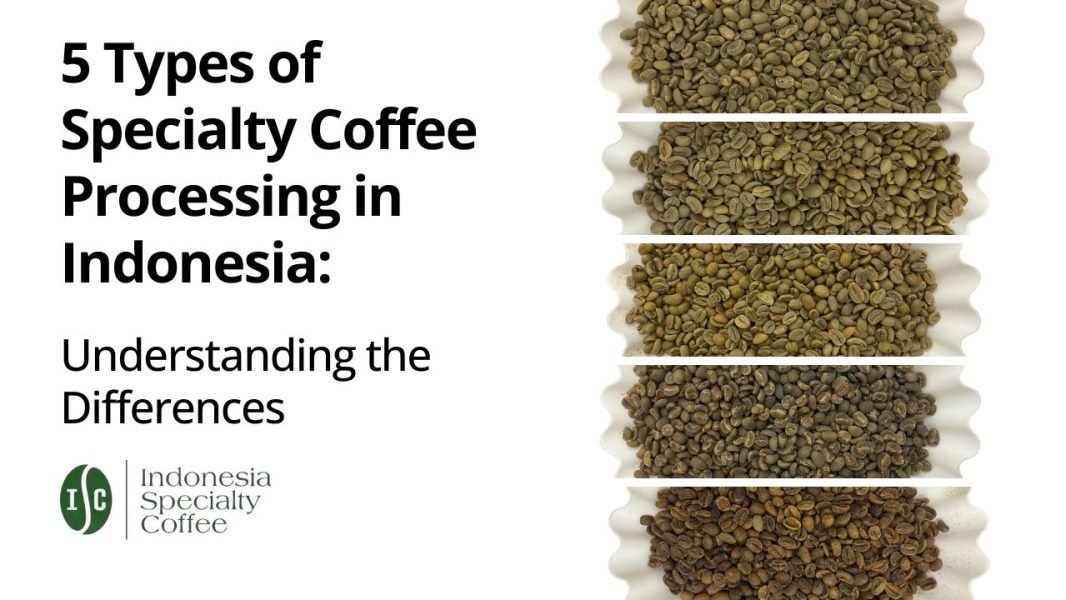 5 Types of Specialty Coffee Processing in Indonesia Understanding the Differences