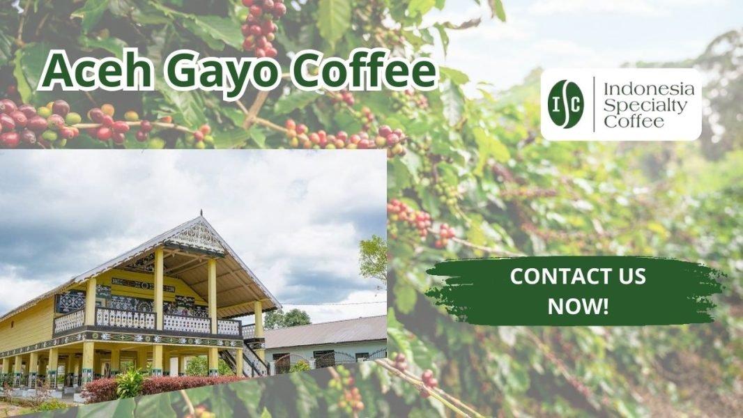 A Simple Guide to Gayo Coffee, The Popular Indonesian Coffee