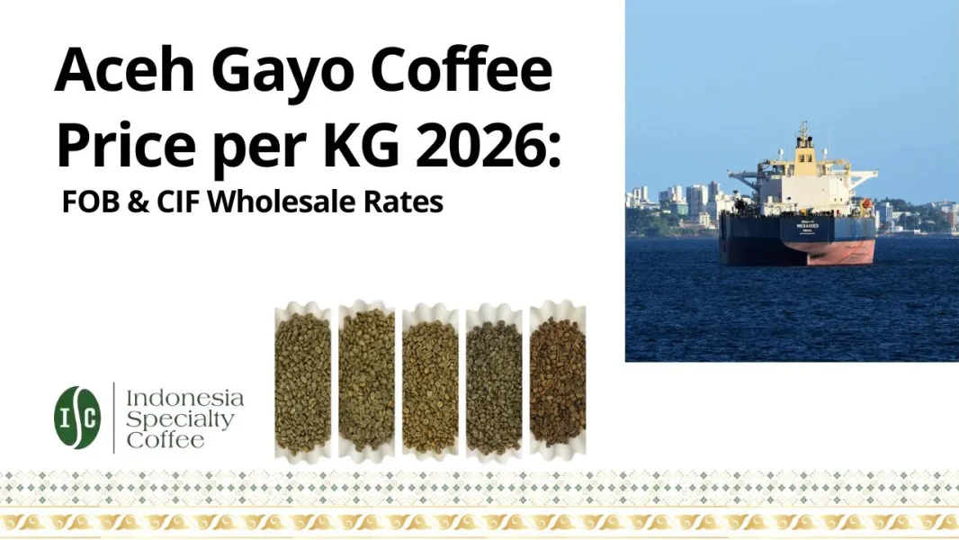 Aceh Gayo Coffee Beans Origin, Flavor, and Wholesale Price Guide