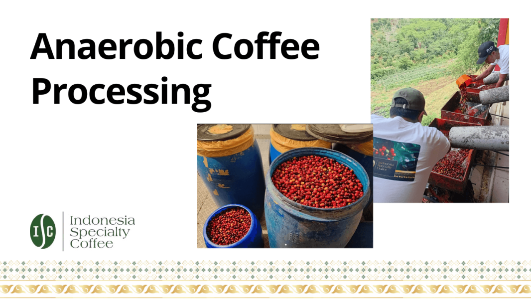 Anaerobic Coffee Processing