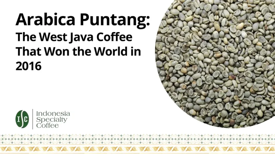 Arabica Puntang The West Java Coffee That Won the World in 2016