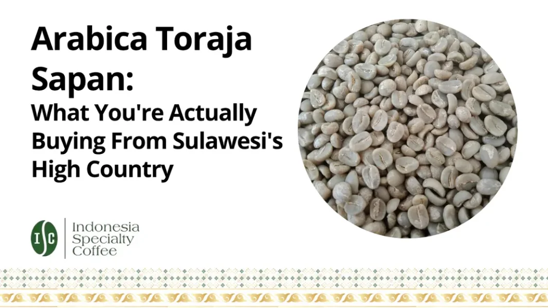 Arabica Toraja Sapan Article Hero Image