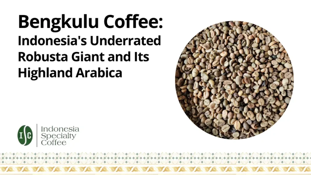 Bengkulu Coffee Indonesias Underrated Robusta Giant and Its Highland Arabica