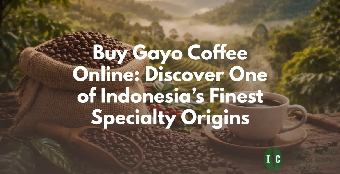 Buy Gayo Coffee Discover One of Indonesia’s Finest Specialty Origins
