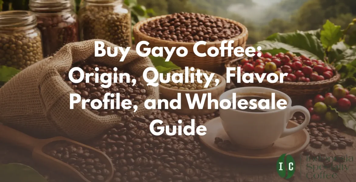 Buy Gayo Coffee Origin, Quality, Flavor Profile, and Wholesale Guide
