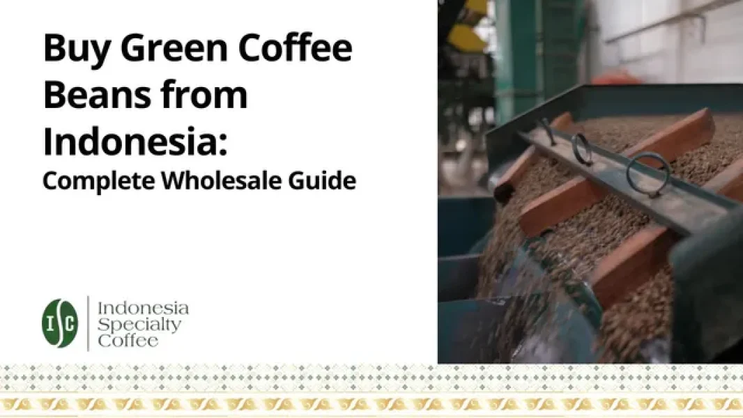 Buy Green Coffee Beans from Indonesia Complete Wholesale Guide