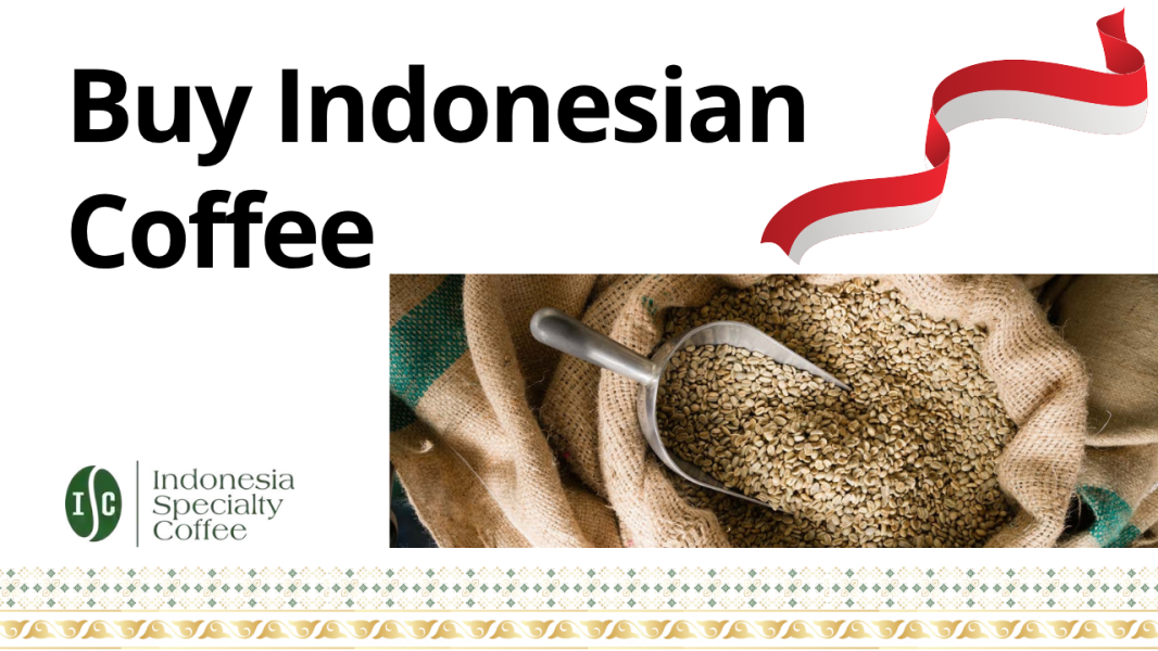 Buy Indonesian Coffee