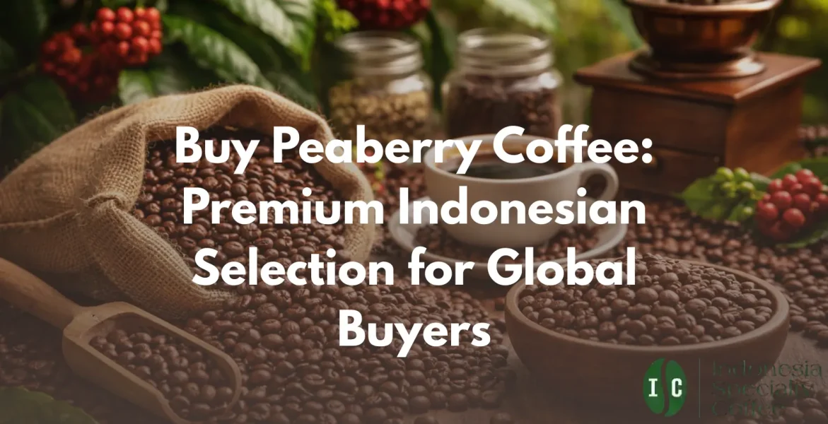 Buy Peaberry Coffee Premium Indonesian Selection for Global Buyers