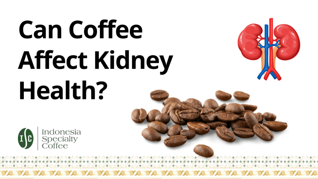 Can Coffee Affect Kidney Health