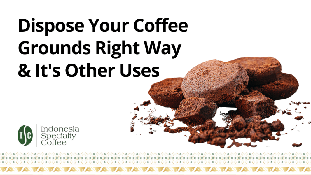 Dispose Your Coffee Grounds Right Way & It's Other Uses