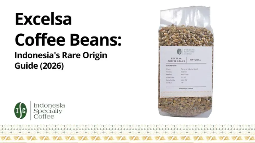 Excelsa Coffee Beans Indonesia's Rare Origin Guide (2026)