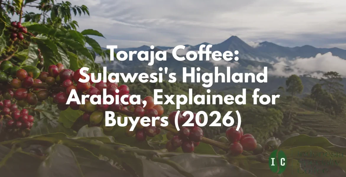 sulawesi toraja coffee