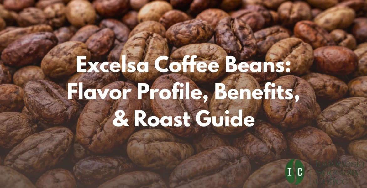 excelsa coffee beans