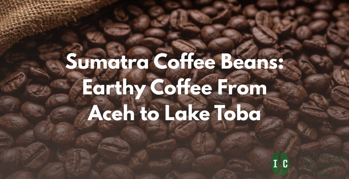 sumatra coffee beans